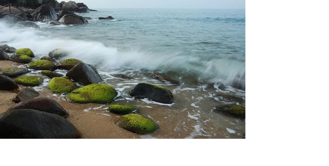 Da Nang Minh Hai Ngoại thất bức ảnh